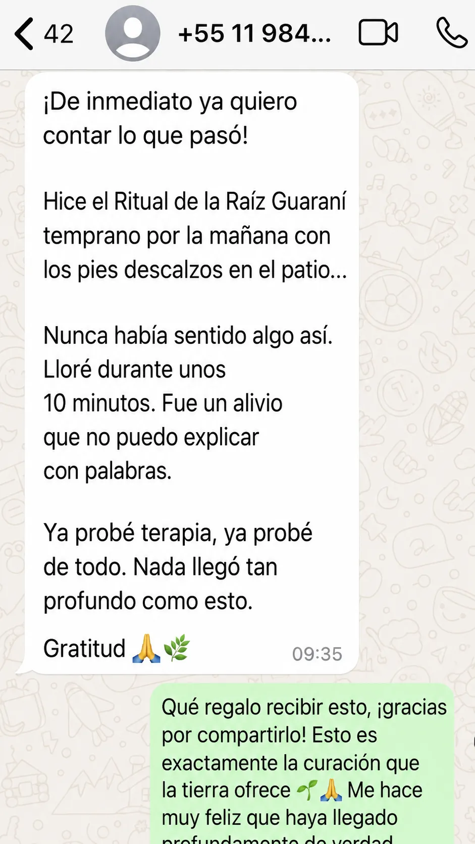 Testimonio 5 de alumno de la Guía de los Rituales