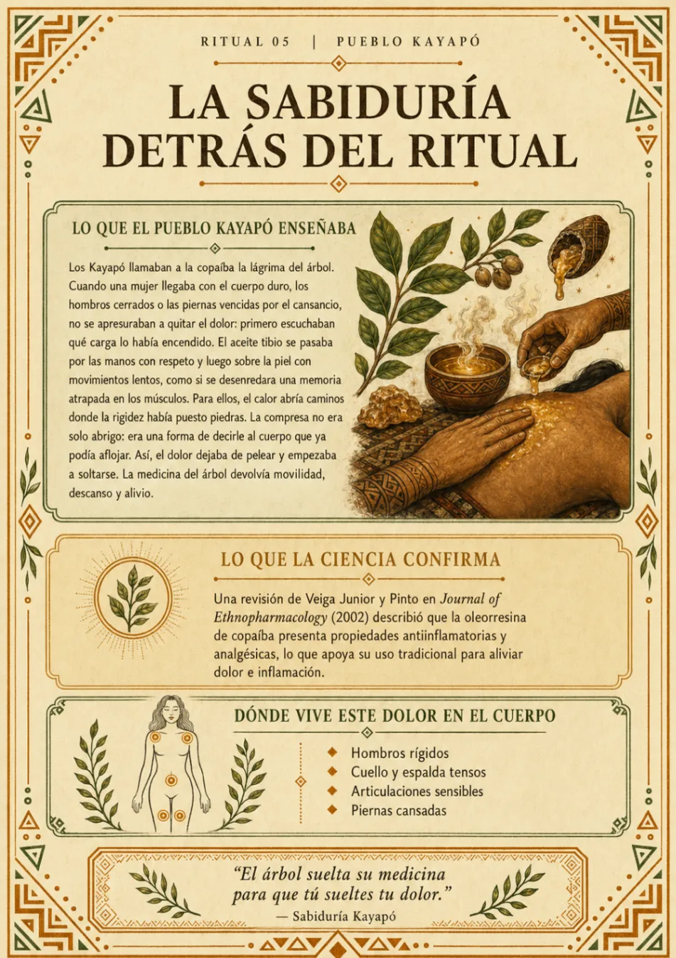 Ritual 05 — La sabiduría detrás del ritual